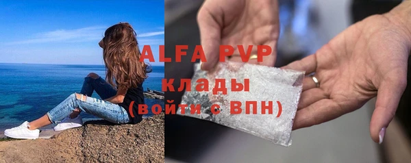spice Богородск