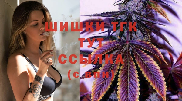 тгк Каменногорск