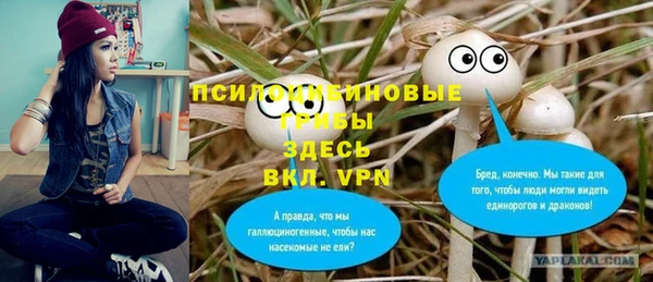 spice Богородск
