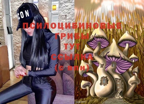 бошки Богданович